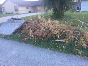 Irma side of road