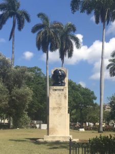 Havana Lincoln