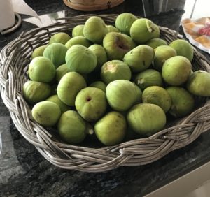 Figs in Basket